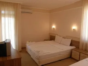 Magic Palm Hotel - Image 5