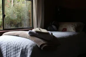 Treenridge - Image 3