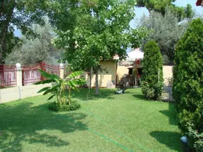 Fountoukis Studios - Image 5
