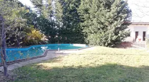 Camomilla - Image 3