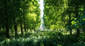 Het parkhuisje - Image 2