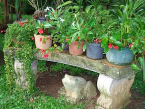 Quinta Don Fernando - Image 5