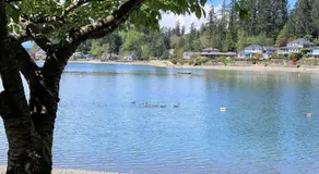 The Tides Retreat - Image 2