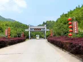 Xinfeng Utop Spring Primeval Forest Resorts - Image 5