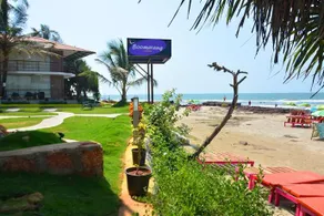 Boomerrang Ashvem - Image 5