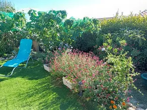 Les coronilles - Image 5