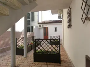 Bianca - Image 2