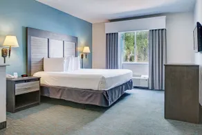 HOLIDAY INN EXPRESS AND SUITES CLERMONT SE WEST ORLANDO - Image 3