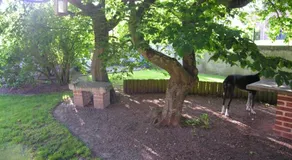 La Quietude - Image 4