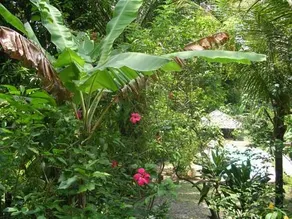 Trancoso Tênis Pousada - Image 5