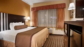 Best Western Plus Sam Houston Inn & Suites - Image 5