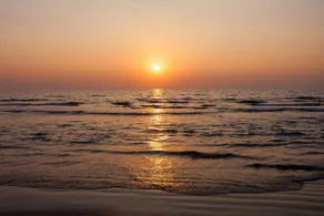 Dona Rosa II -on the beach - Image 3