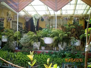 Habitaciones Betito - Image 3