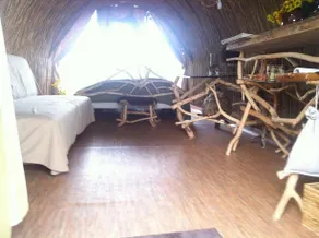 Beaver house - Image 3