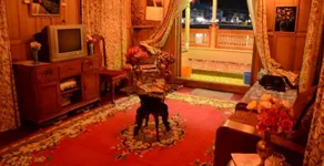 Paris House Boat - Image 3