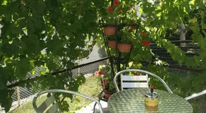 Apartman Lukic - Image 3