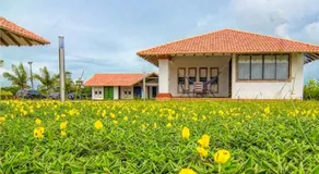 Brizantha Hotel Campestre - Image 2