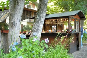 Hotel Sichi - Image 5