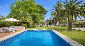 Los Grillos - Image 4