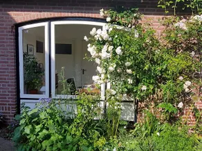 B&B Oostrik - Image 5