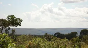 Pousada Jardim da Chapada - Image 4