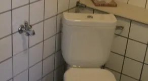 Ferienwohnung Schwalbennest Dobbin-Linstow - Image 4