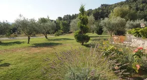 campagne de pimayon - Image 2