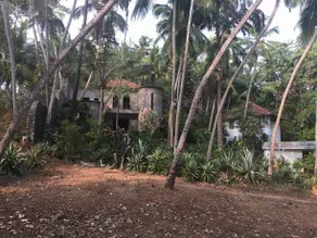 Hotel Johny's Backpackers Home - Image 4