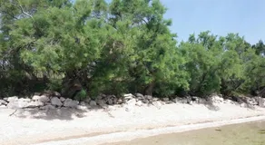 Apartmani NEVA, Pridraga - Image 5
