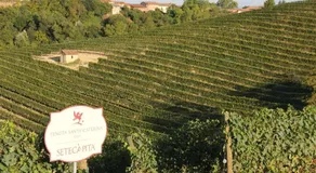 Casa Vacanza Antica dimora di Campagna - Image 4