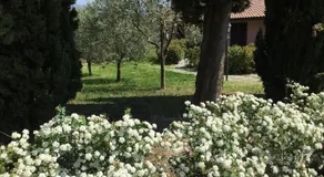 Villa L'Arco - Image 3