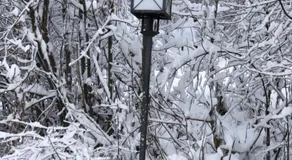 Landhaus Osttirol - Image 4