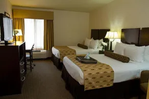 Best Western Plus Antioch Hotel & Suites - Image 4