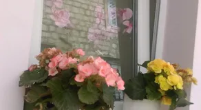 Apartman Milena - Image 5
