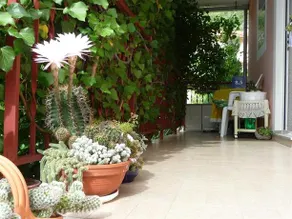 Guesthouse Erceg - Image 4