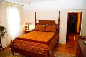 Paradise Bed and Breakfast - Image 5