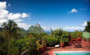 Papaya Soufriere - Image 5
