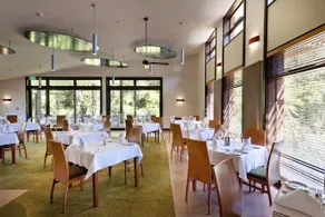 Te Waonui Forest Retreat - Image 4