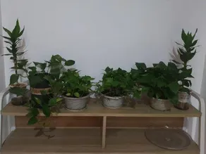 Xiangyang Apartment - Image 4