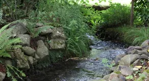 Gîte altzia haut - Image 3