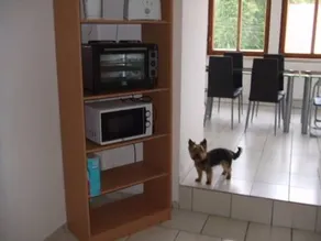 Hostel Falkenstein - Image 5