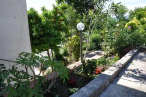 B&B La Palombara - Image 5