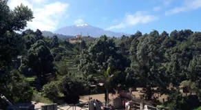 Riendas Vivas - Image 5