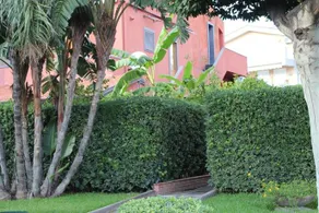 Tortuga Residence - Image 3