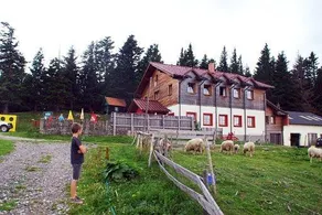 Bauernhof Ofnerhof - Familie Gruber - Image 3