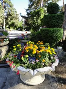 Camping La Cascade - Image 5