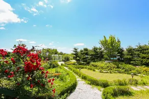 Ganghwado Farms House - Image 4
