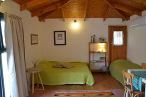 The OLive Tree - Image 5