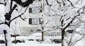 Boutique Apartments Bezau - Image 2