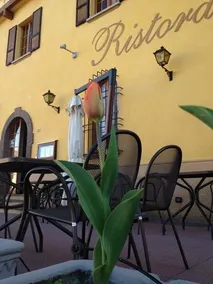 Albergo Ristorante Il Cervo - Image 2